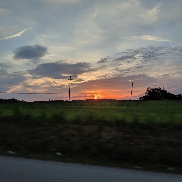 Meet your Posher, Elli - Picture 1 of 1